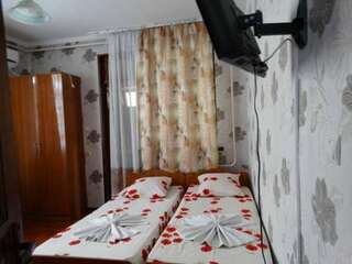 Гостиница Альбина Адлер Двухместный номер с 2 отдельными кроватями и ванной-3